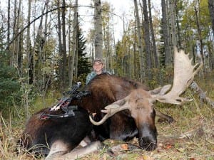 1386877914YoungWild_moose