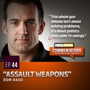 Dom Raso, a Commentator for NRA News
