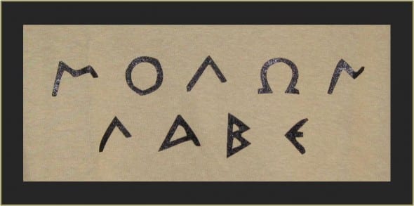 Molon Labe: A Study in American Solidarity