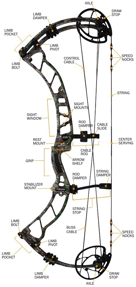 type of bows and arrows